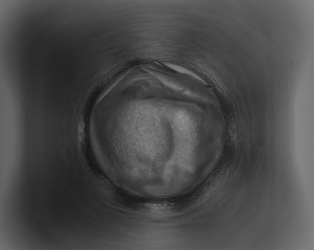 X0000100950693200807151337