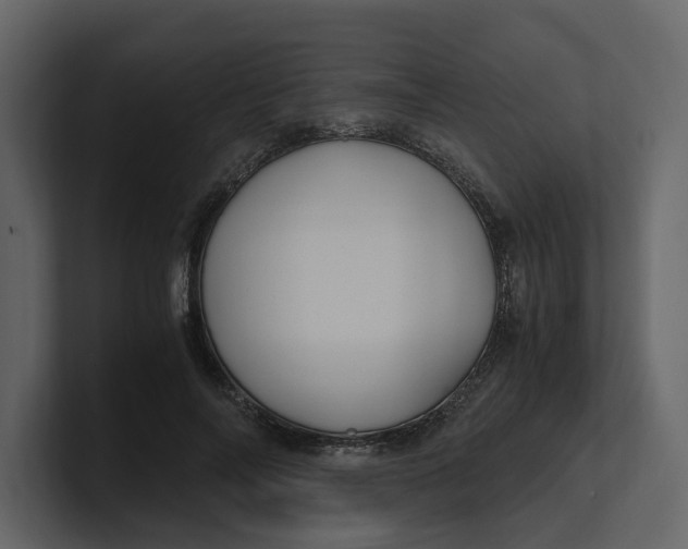 X0000100950694200807151337