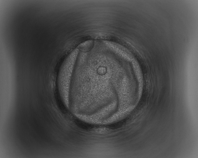 X0000100950695200807151337