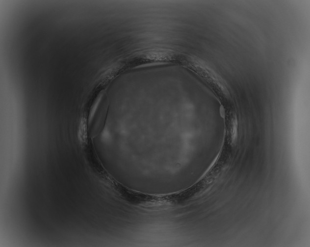 X0000100950696200807151337