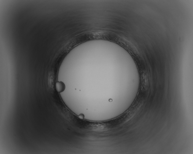 X0000100950698200807151337