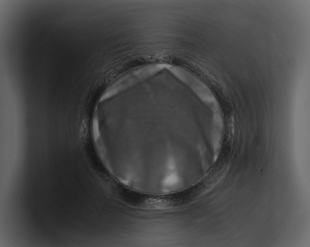 X0000100950699200807151337