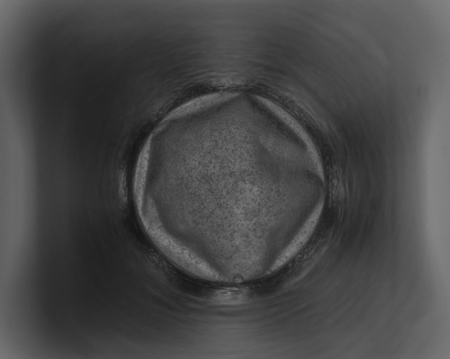 X0000100950700200807151337