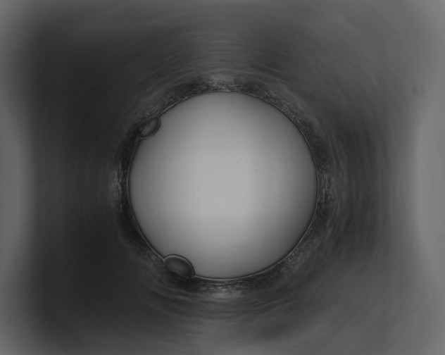 X0000100950702200807151337