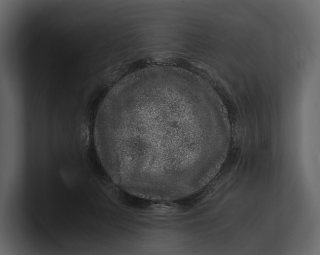 X0000100950703200807151337