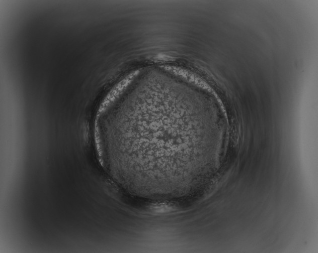 X0000100950704200807151337