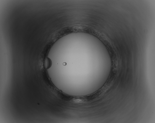 X0000100950706200807151337