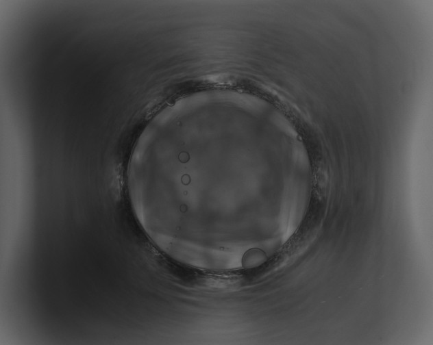 X0000100950707200807151337