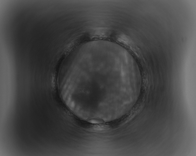 X0000100950708200807151337