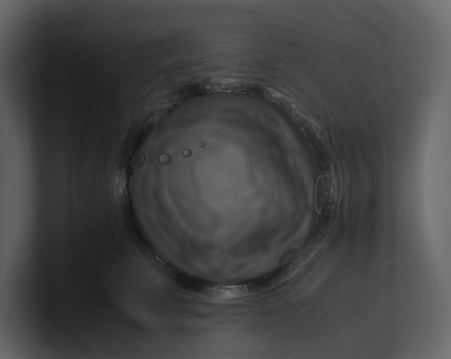 X0000100950711200807151337