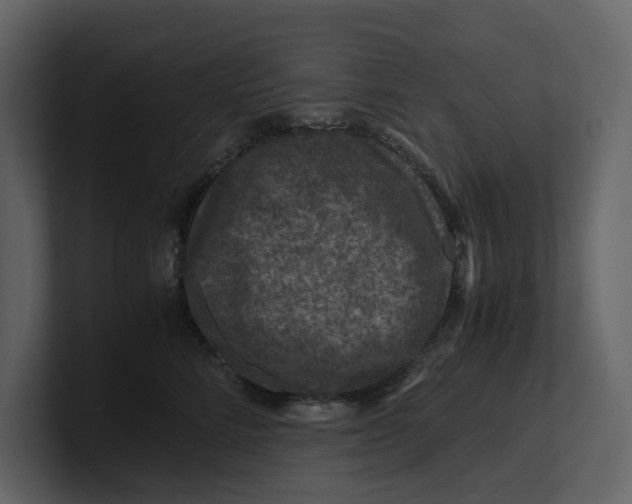 X0000100950712200807151337