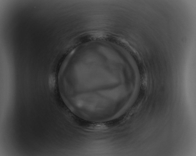 X0000100950715200807151337