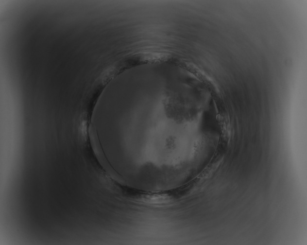 X0000100950716200807151337