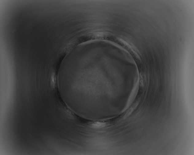 X0000100950718200807151337