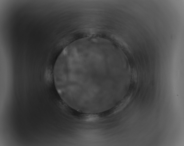 X0000100950719200807151337