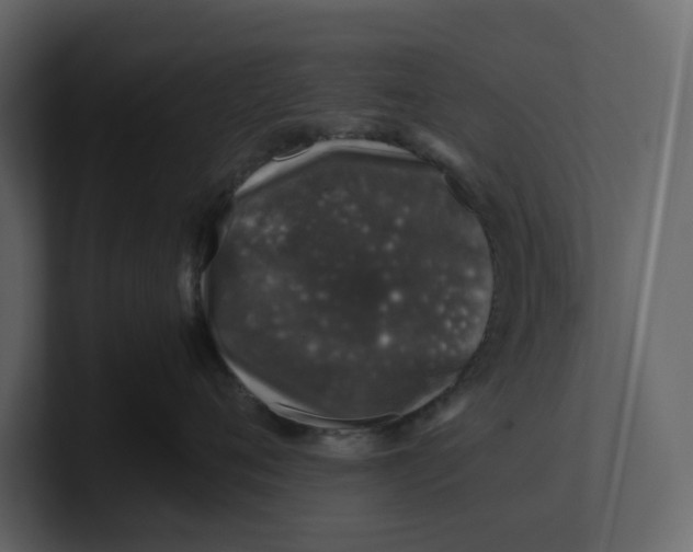 X0000100950720200807151337