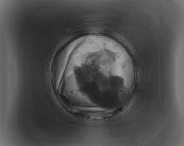 X0000100950721200807151336