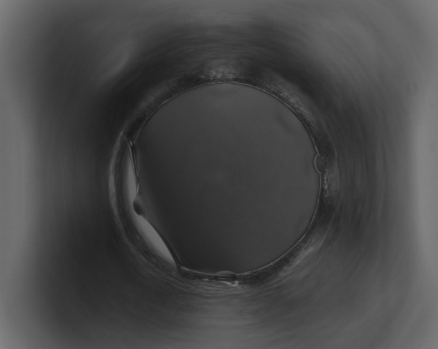 X0000100950722200807151336