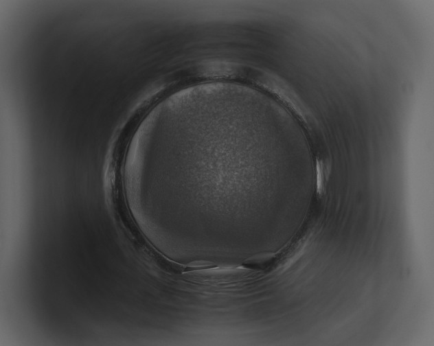 X0000100950723200807151336