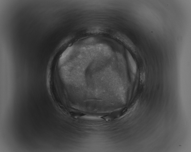 X0000100950724200807151336