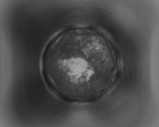 X0000100950726200807151336