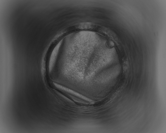 X0000100950727200807151336