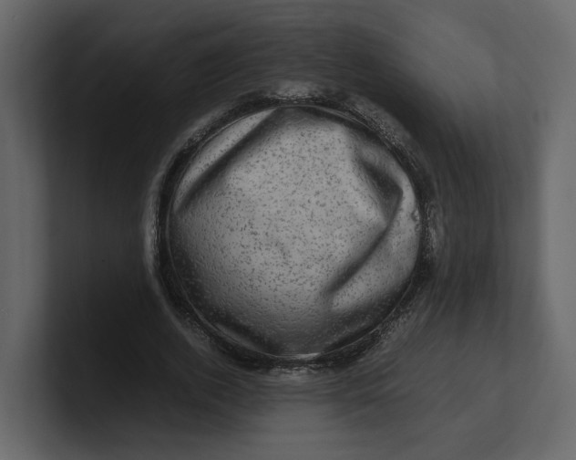 X0000100950728200807151336