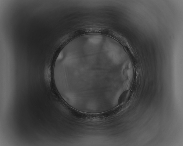 X0000100950729200807151336