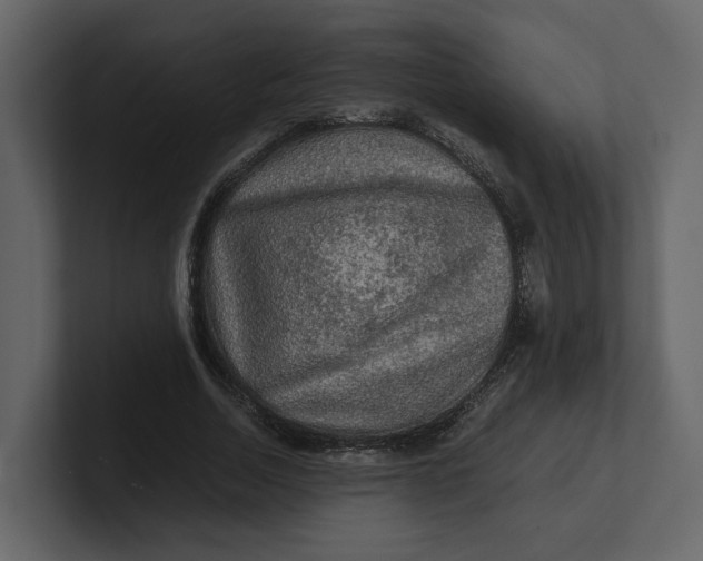 X0000100950730200807151336