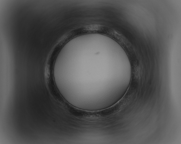 X0000100950731200807151336