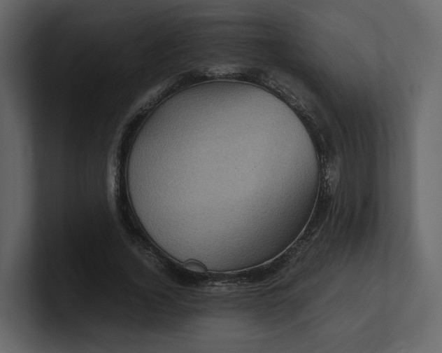 X0000100950732200807151336