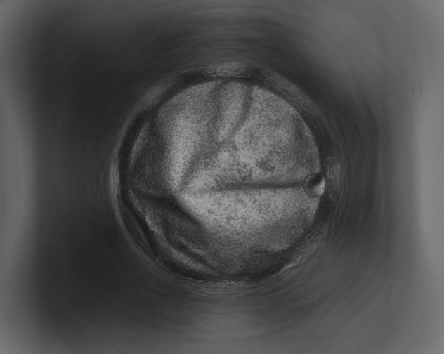 X0000100950734200807151336