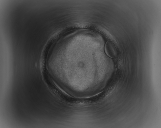 X0000100950736200807151336