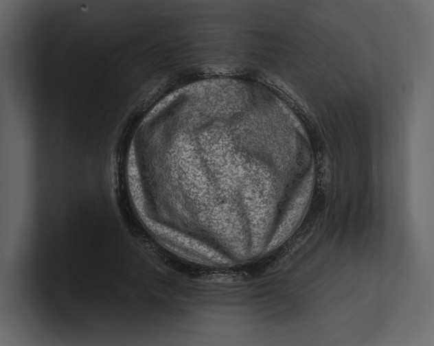 X0000100950738200807151336