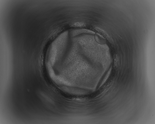 X0000100950739200807151336