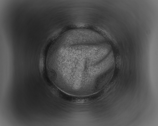 X0000100950740200807151336