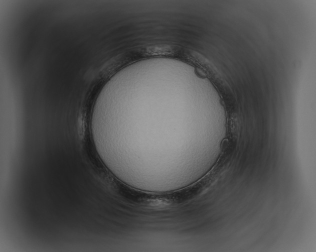 X0000100950741200807151336