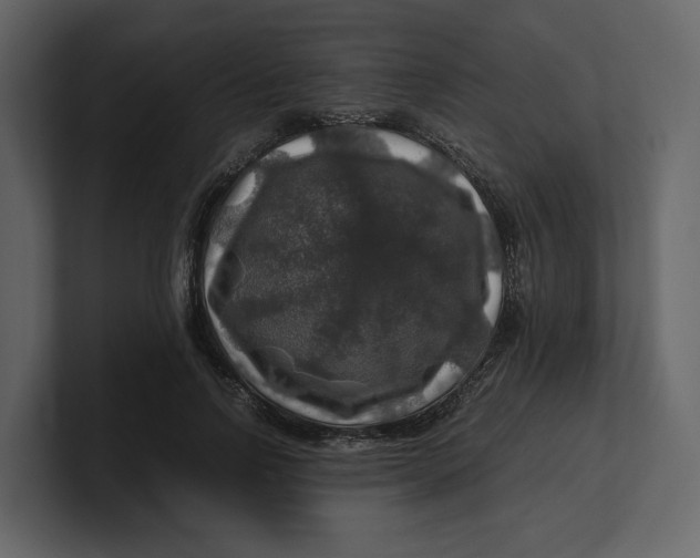 X0000100950742200807151336