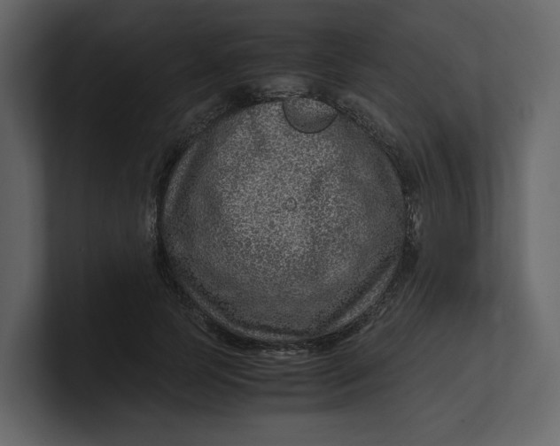 X0000100950745200807151336