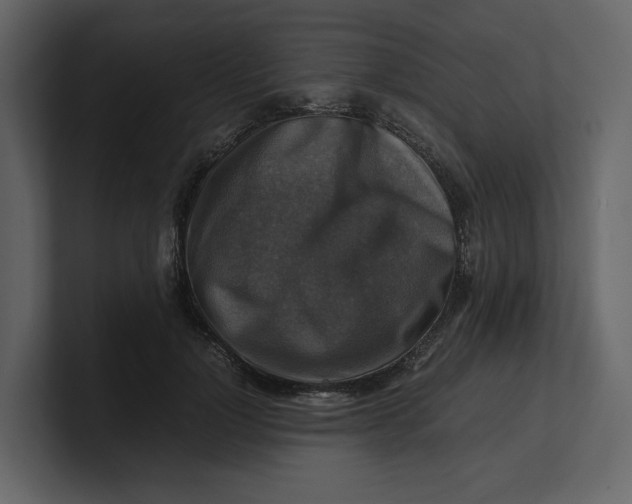 X0000100950748200807151336