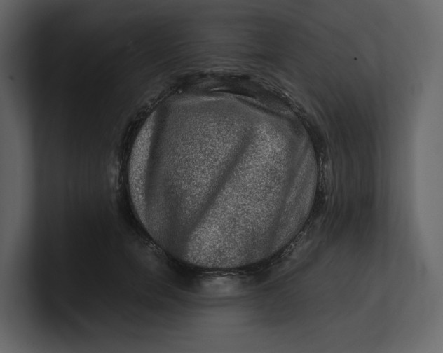 X0000100950750200807151336