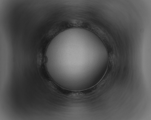 X0000100950752200807151337