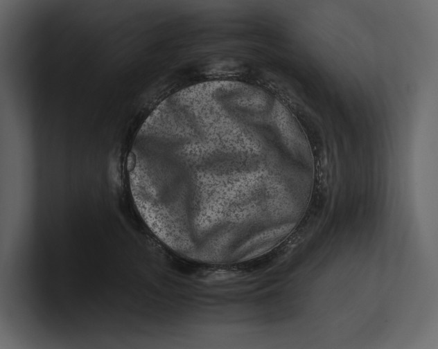 X0000100950755200807151337