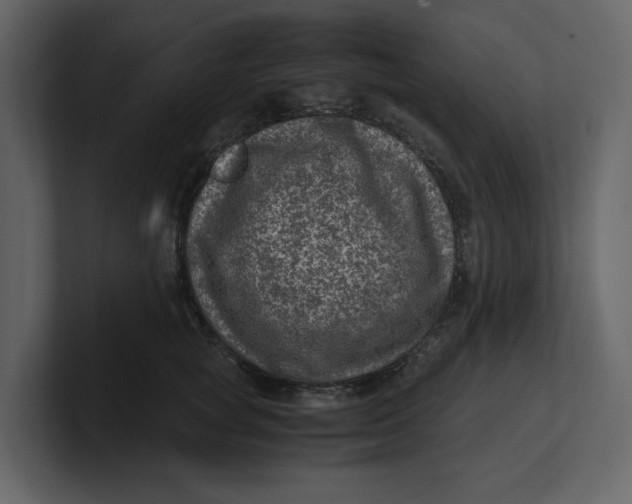 X0000100950757200807151337