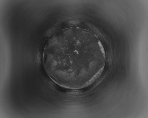 X0000100950758200807151337