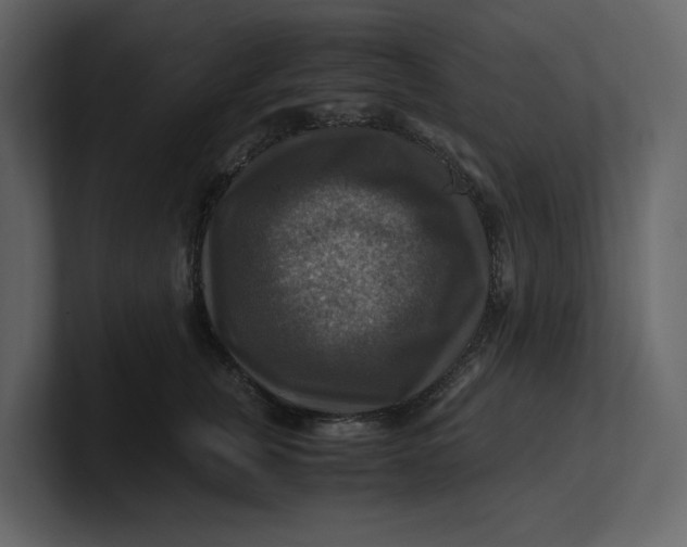 X0000100950759200807151337