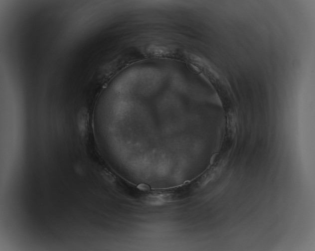 X0000100950760200807151337