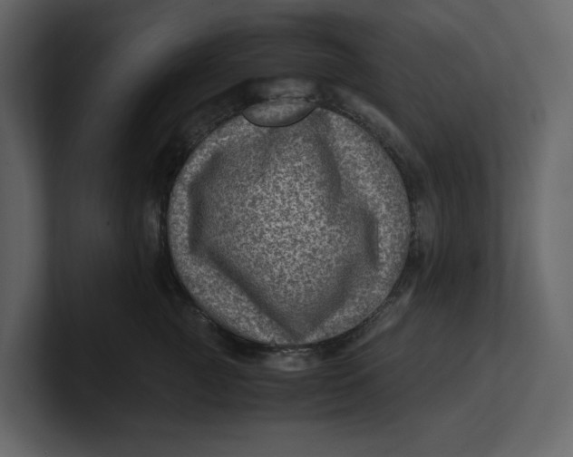 X0000100950761200807151337