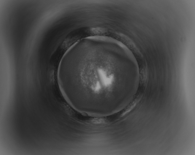 X0000100950762200807151337