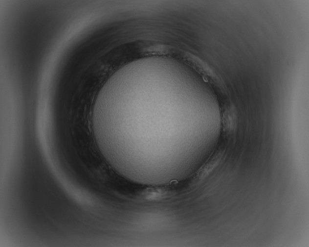 X0000100950764200807151337